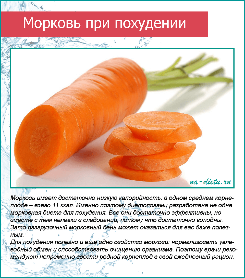 Польза моркови при похудении